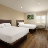 Отель Extended Suites Tijuana Macroplaza, фото 7