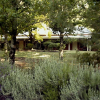 Отель Redgum Hill Country Retreat, фото 6
