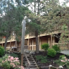 Отель The Cedar Lodge, фото 5