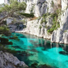 Отель Trés beau studio 35 M2 Entre Mer et Forêt grand jardin et douche tropicale, фото 4