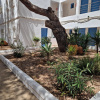 Отель Apartamentos Costamar II, фото 1