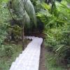 Отель Bromelias Corcovado Hotel y Finca, фото 37