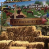 Отель Wana Horse And Ostrich Farm Tent, фото 9