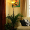Отель Come From Away B&B Inn, фото 12