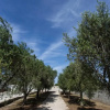 Отель Villetta dei Nespoli, фото 13