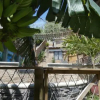 Отель Hostal Kaia, фото 3