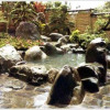 Отель Kiyotake Onsen, фото 2
