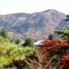 Отель Marroad Hakone, фото 13