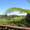 Отель Abel Tasman Ocean View Chalet, фото 11