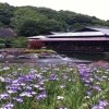 Отель Business Hotel Shiobara, фото 1