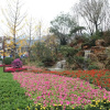 Отель Yesanpo Arcadia International Hotel, фото 14