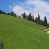 Отель Gästehaus Schweiberer, фото 2
