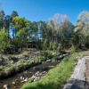 Отель Ruidoso River Park - Two Bedroom Cabin, фото 16