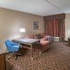 Отель Hampton Inn Deadwood, фото 7