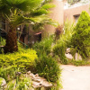 Отель Suite 4B Bazzar, Garden House, Welcome to San Angel, фото 19