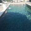 Отель Pool - Swimming Pool and Grill - A3, фото 11