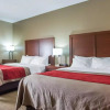 Отель Comfort Inn, фото 6