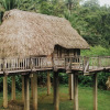 Отель Jade Jungle Resort, фото 10