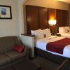 Отель Comfort Suites Near Six Flags Magic Mountain, фото 5