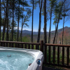 Отель Tree Top Getaway Log House with Views | NFL Sunday Ticket Included, фото 7