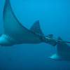 Отель Mantaraya Lodge, фото 21