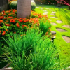Отель Jia Feng Homestay, фото 16
