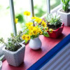 Отель Shmily Homestay, фото 5