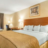 Отель Quality Inn & Suites, фото 21