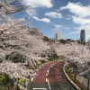 Отель New premium luxury 1 min Roppongi, фото 13