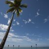 Отель Rincon Beach Resort, фото 12
