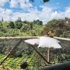 Отель finca hotel zona 7, фото 23