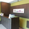 Отель Chomelle Hotel, фото 18