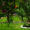 Отель Likya Evleri Olympos - Adults Only, фото 29