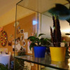 Отель Nice Boat Youth Hostel, фото 16