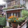 Отель Bouddha Green Hotel в Катманду