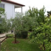 Отель Apartments Villa Marija, фото 1