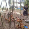 Отель Hangzhou Longxugu Homestay, фото 11