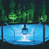 Отель Crazy Creek Resort & Hot Pools, фото 29