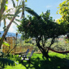 Отель Altea Paradise 1917, фото 44