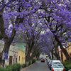 Отель Mesón Santa Rosa, фото 16