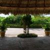 Отель Cayman Suites, фото 21