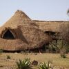 Отель Mapito Tented Camp, фото 4