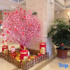 Отель Vienna International Hotel (Shantou Chaoyang International), фото 10