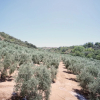 Отель Hacienda Fresneda María, фото 16