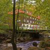 Отель Waldhotel am Ilsestein, фото 14
