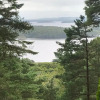 Отель Tall Trees Seaside & Nature Retreat B&B, фото 5