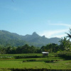 Отель Villa Sumbing Indah, фото 12