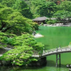 Отель Next International Homestay, фото 21