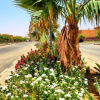 Отель Al Raeda Resort, фото 7