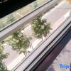 Отель Santai Longtingyi Theme Hotel, фото 19